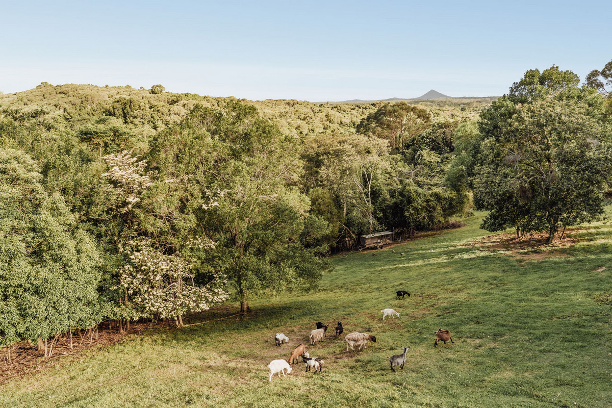 Listing image for 74 Camphor Road, PINBARREN  QLD  4568