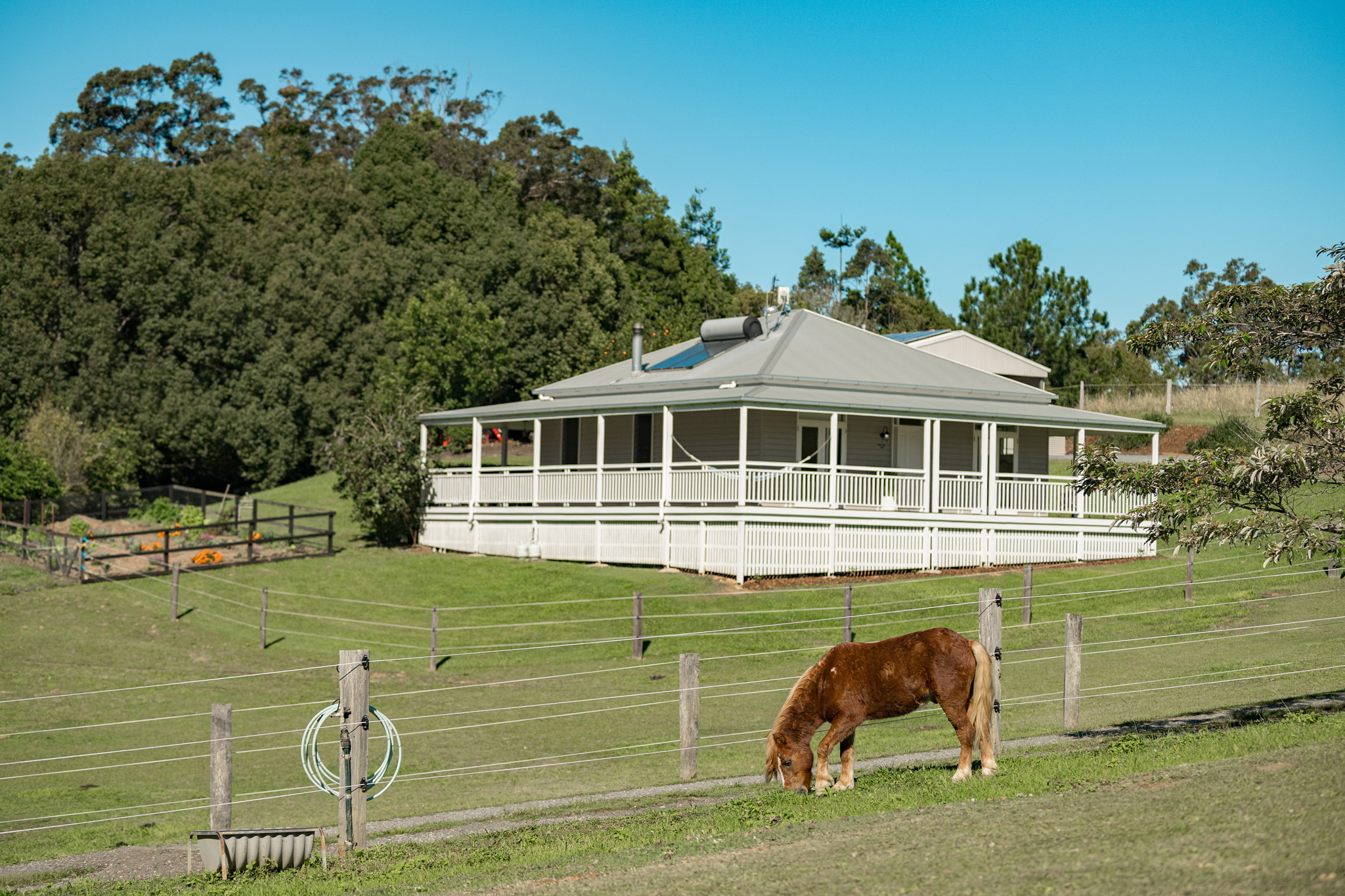Listing image for 102 Solar Road, Eumundi  QLD  4562