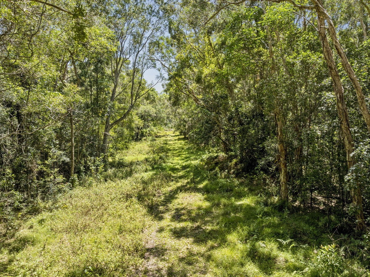 Listing image for 157 Maximillian Road, NOOSA NORTH SHORE  QLD  4565