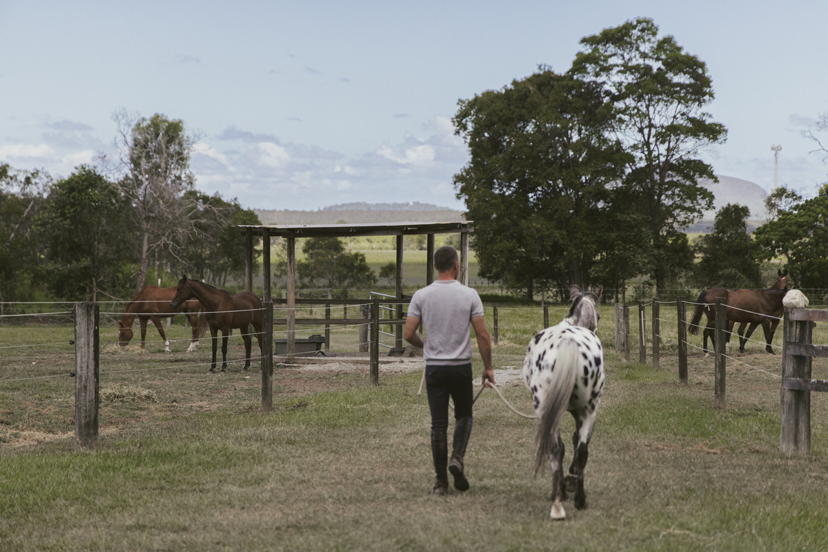 Listing image for 291 Valdora Road, Valdora  QLD  4561