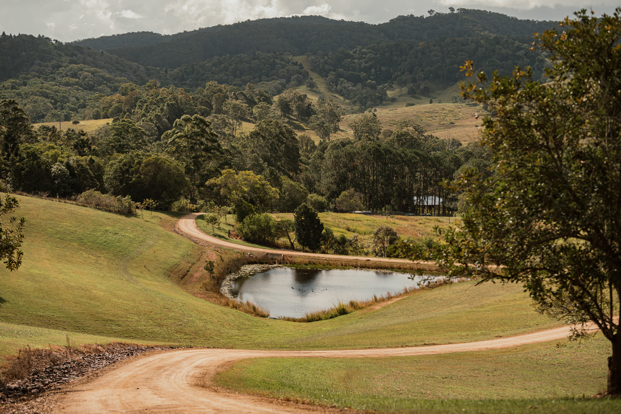 Listing image for 40 Donnellys Road, Ridgewood  QLD  4563
