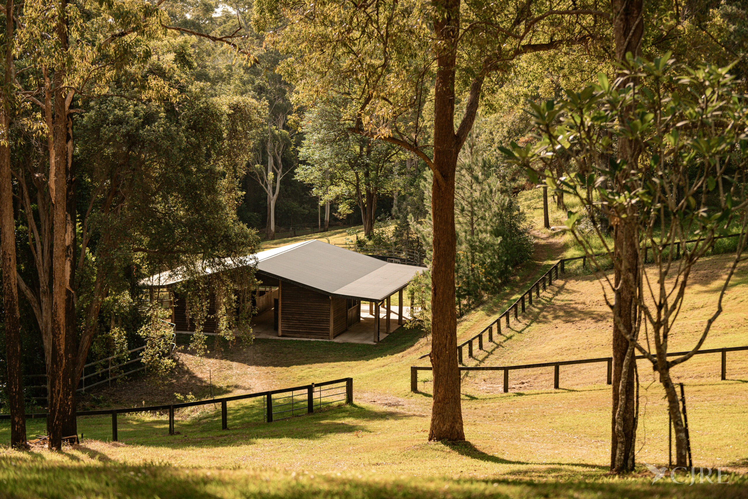 Listing image for 453 Diddillibah Road, Diddillibah  QLD  4559