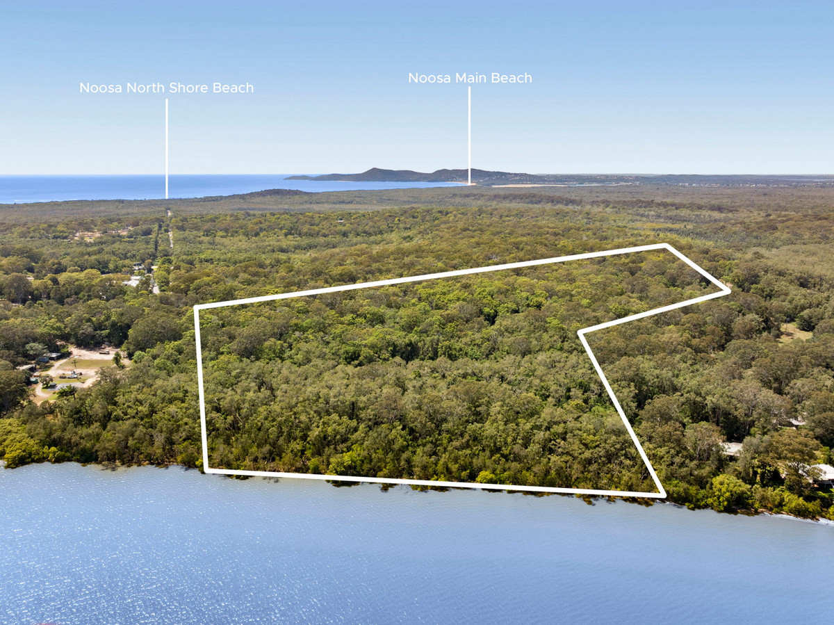 Listing image for 157 Maximillian Road, NOOSA NORTH SHORE  QLD  4565