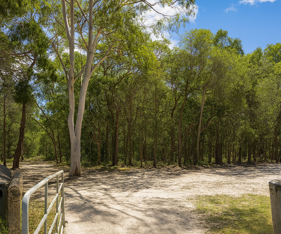 Listing image for 157 Maximillian Road, NOOSA NORTH SHORE  QLD  4565