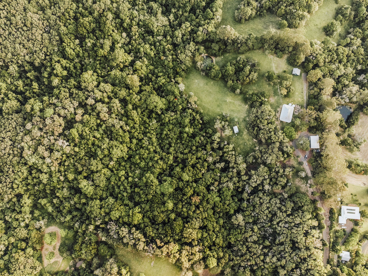 Listing image for 74 Camphor Road, PINBARREN  QLD  4568