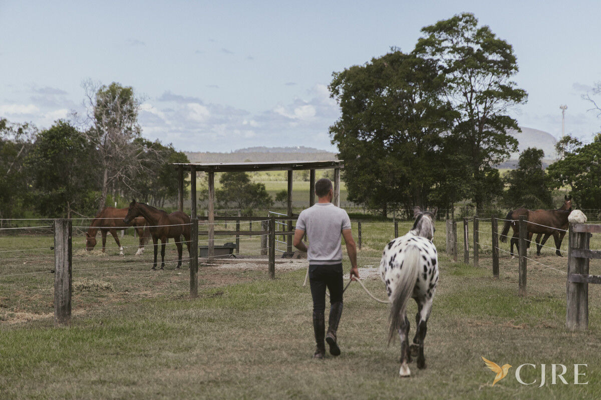 Listing image for 291 Valdora Road, Valdora  QLD  4561