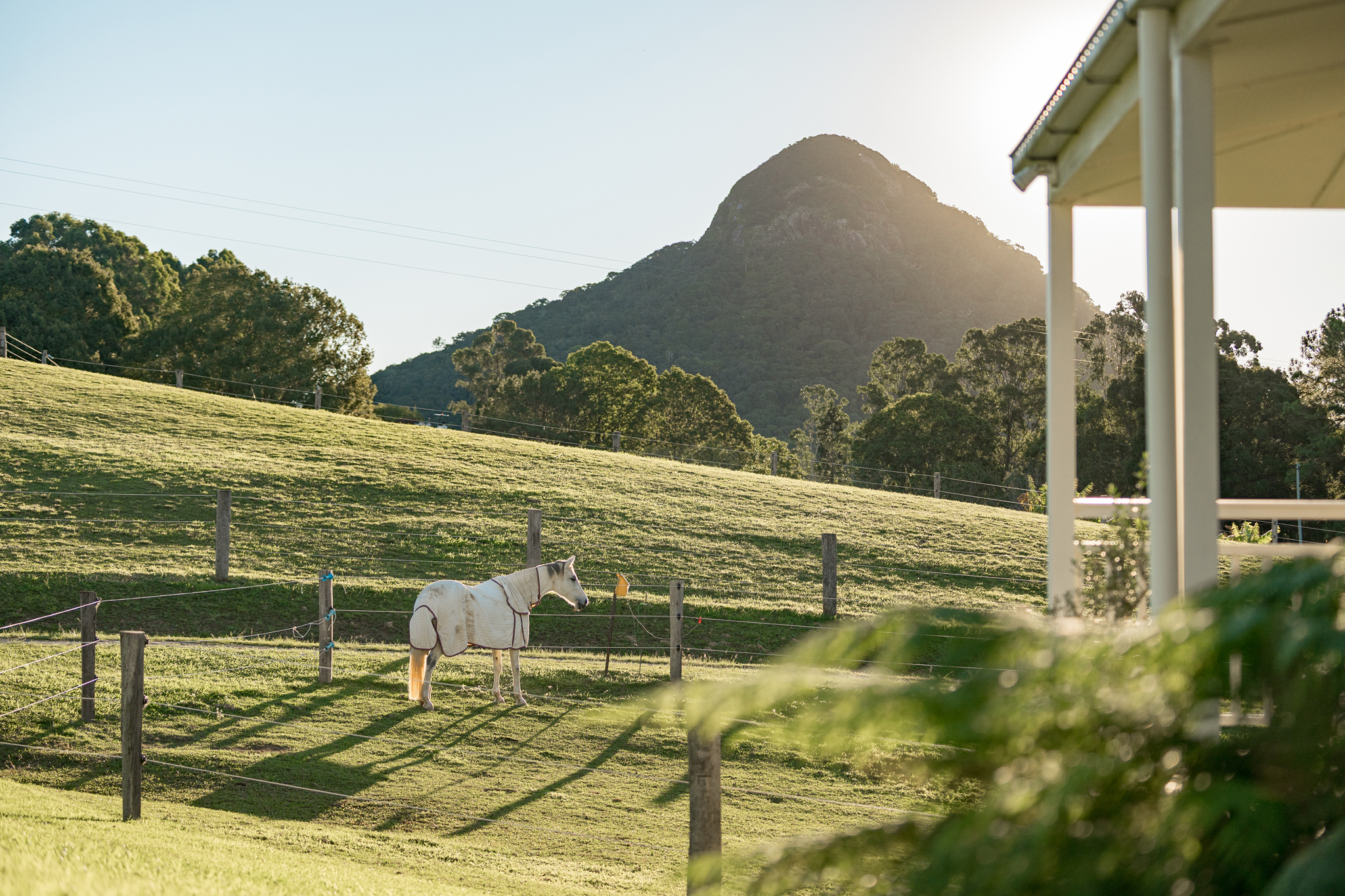 Listing image for 102 Solar Road, Eumundi  QLD  4562