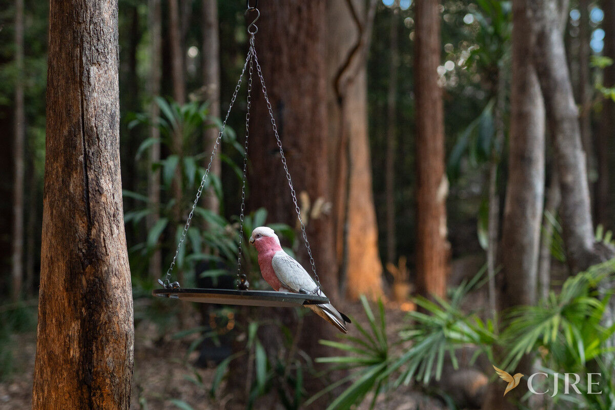Listing image for 21 Arbour Place, Doonan  QLD  4562