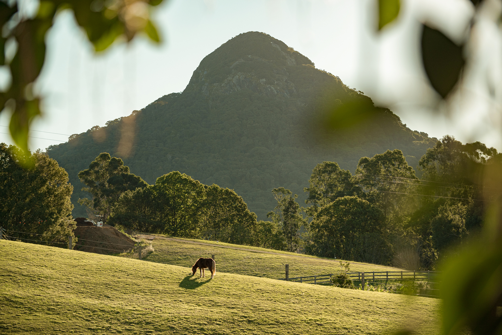 Listing image for 102 Solar Road, Eumundi  QLD  4562